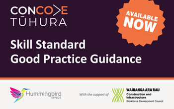 Skill Standards Good Practice Guides now available